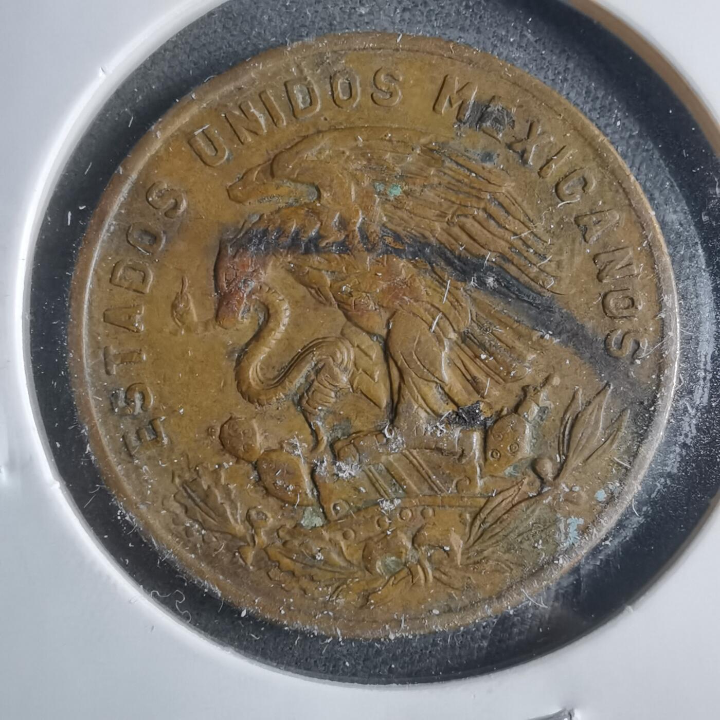 沼泽如烟--第906场