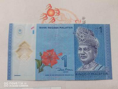纸币 - 马来西亚1令吉