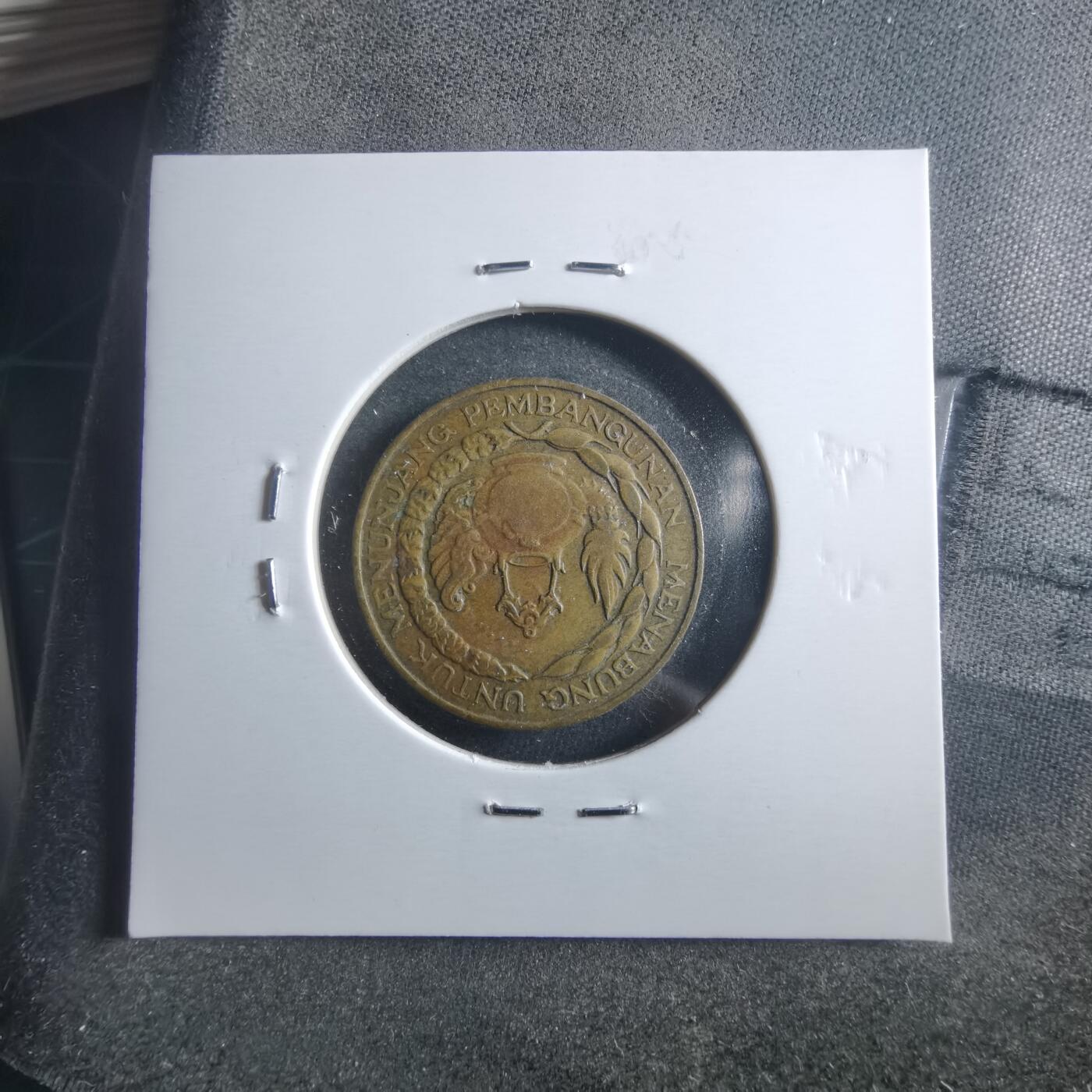 沼泽如烟--第906场