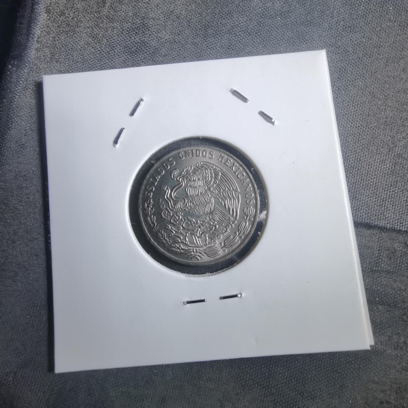 沼泽如烟--第907场