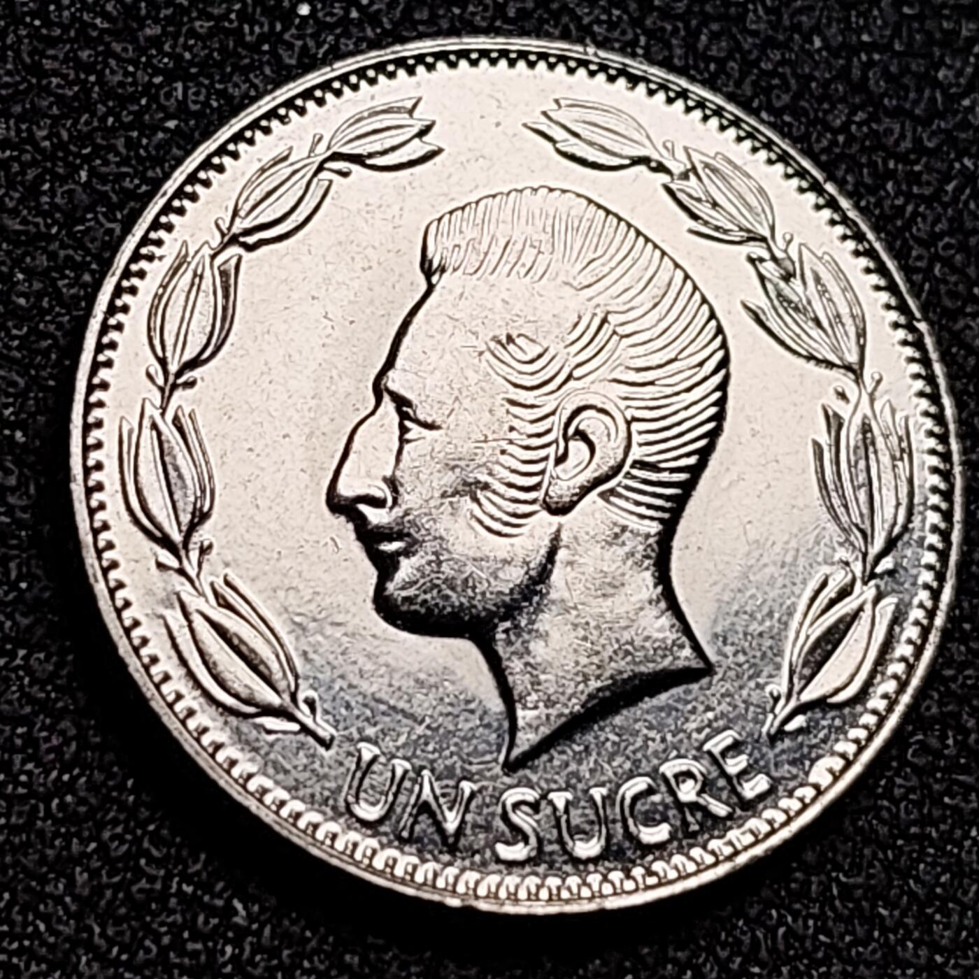 泉币菌-第132场-精品福利场 。