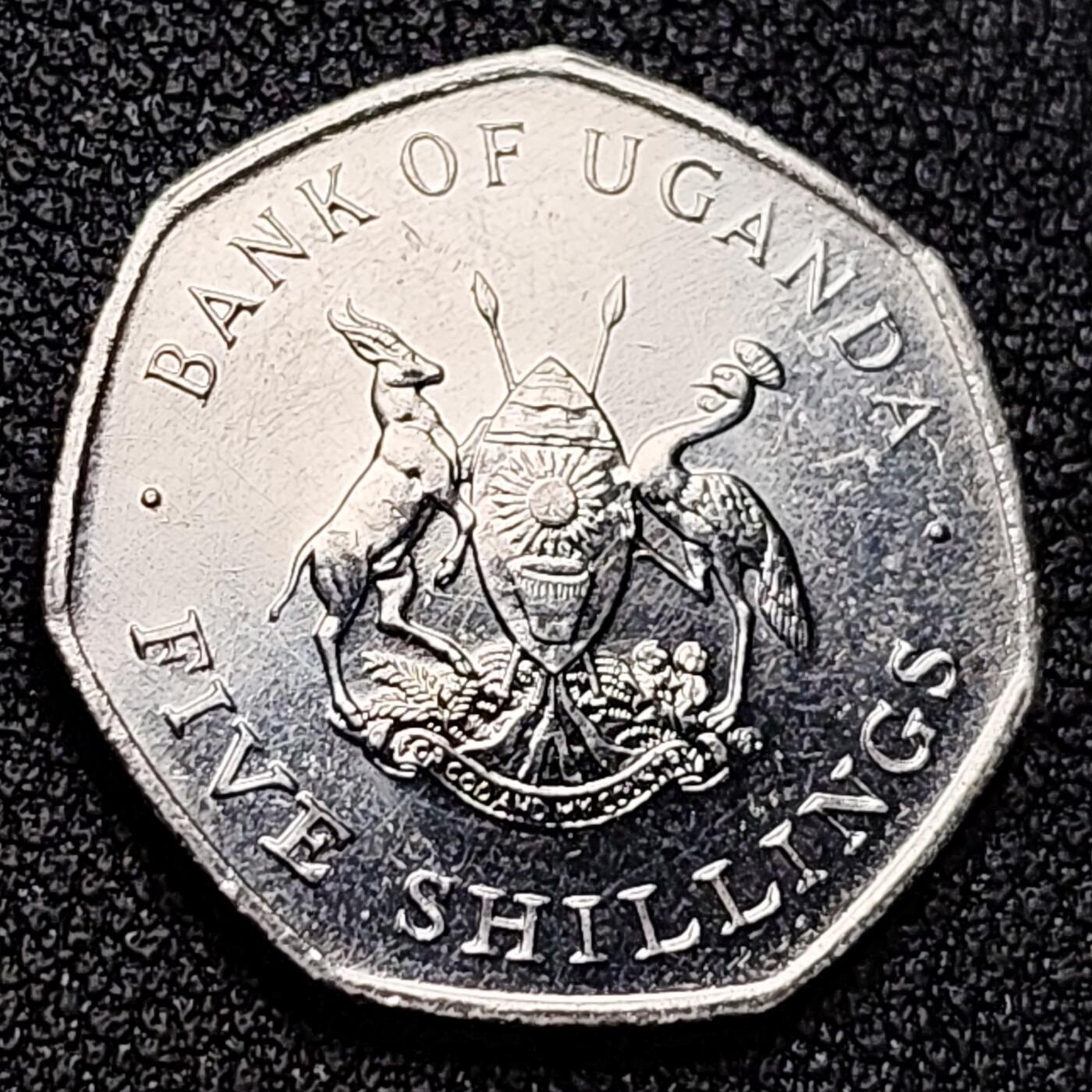 泉币菌-第131场-精品福利场 。