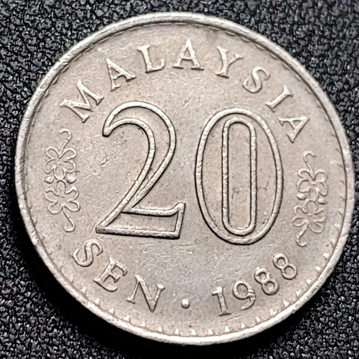 泉币菌-第132场-精品福利场 。