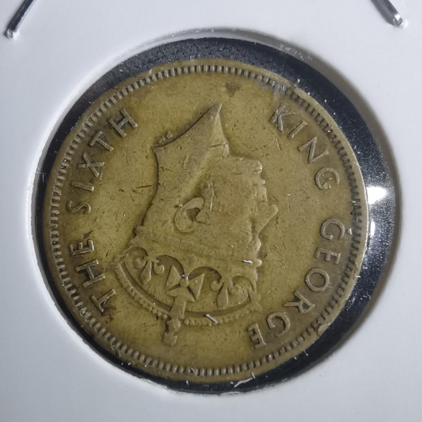 沼泽如烟--第907场