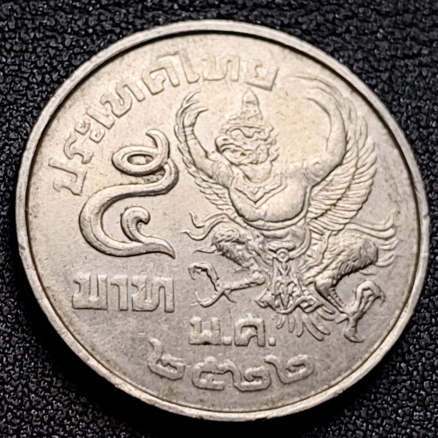 泉币菌-第132场-精品福利场 。