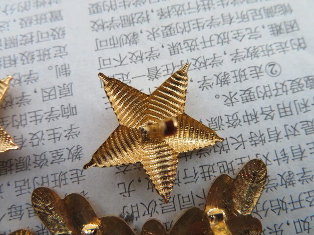 09--87早期武警将军肩章星星一对松枝一付（铜皮材质，松枝无背纹版）