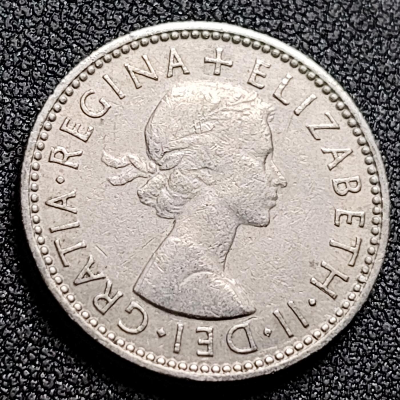 泉币菌-第132场-精品福利场 。