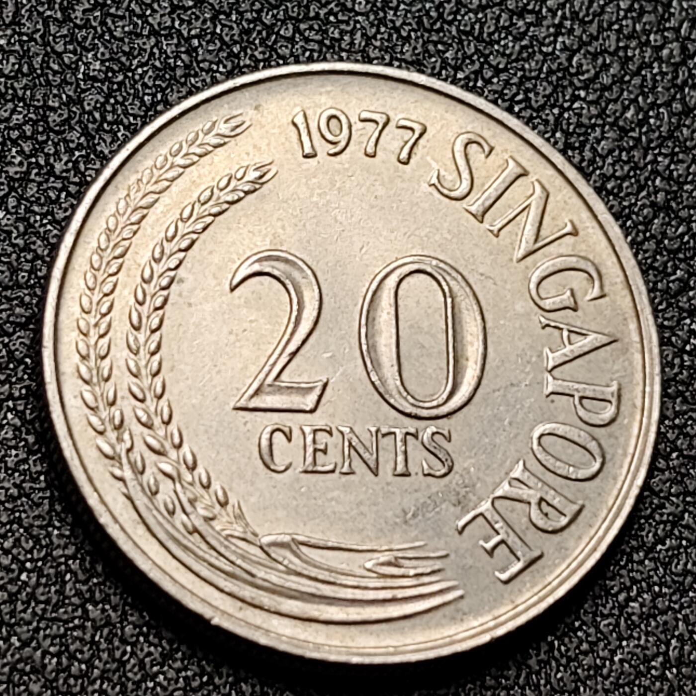 泉币菌-第131场-精品福利场 。