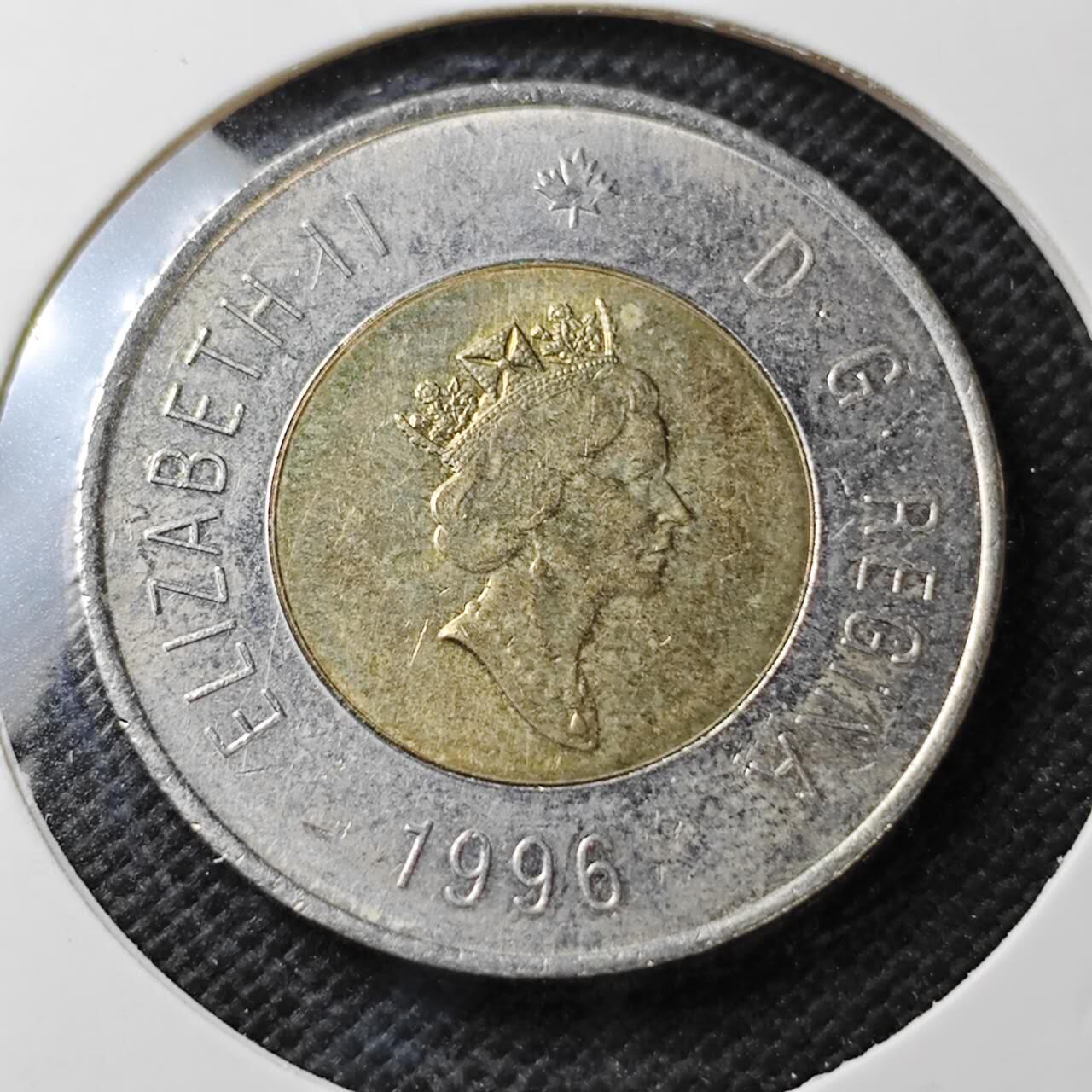 KK钱币收藏小铺  第373场  2月预留时间 周末发货  加拿大2元