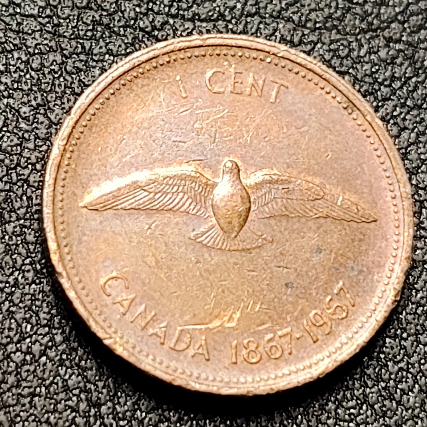 泉币菌-第131场-精品福利场 。