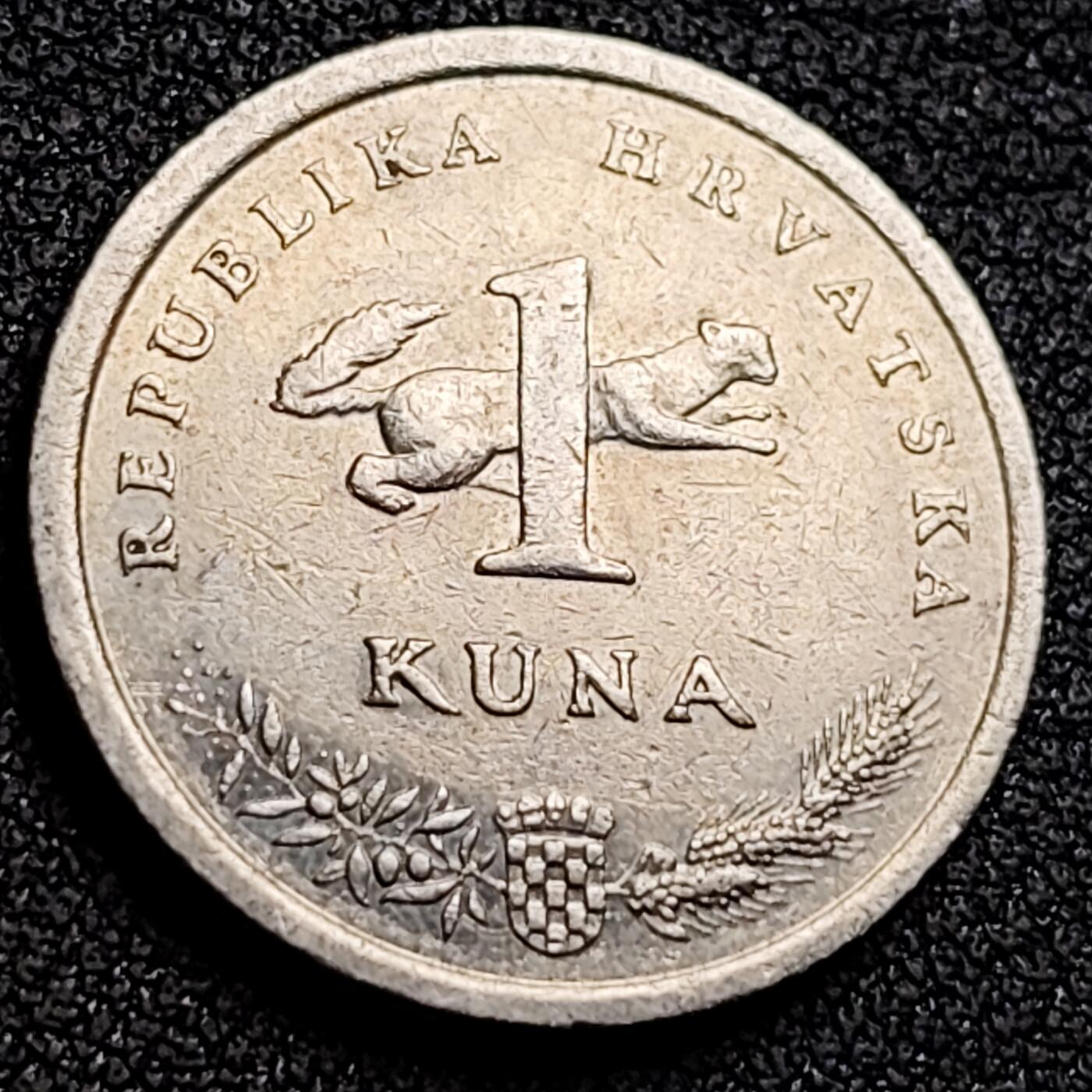 泉币菌-第132场-精品福利场 。