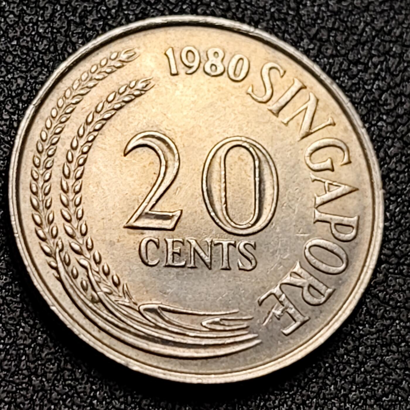 泉币菌-第131场-精品福利场 。