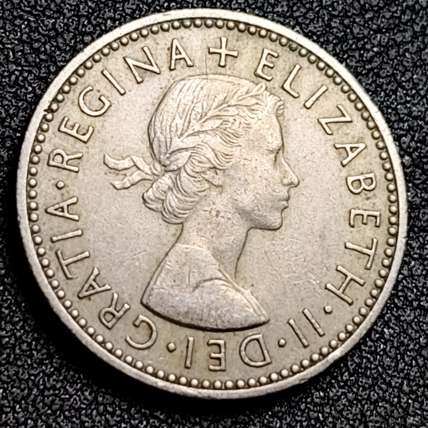 泉币菌-第132场-精品福利场 。