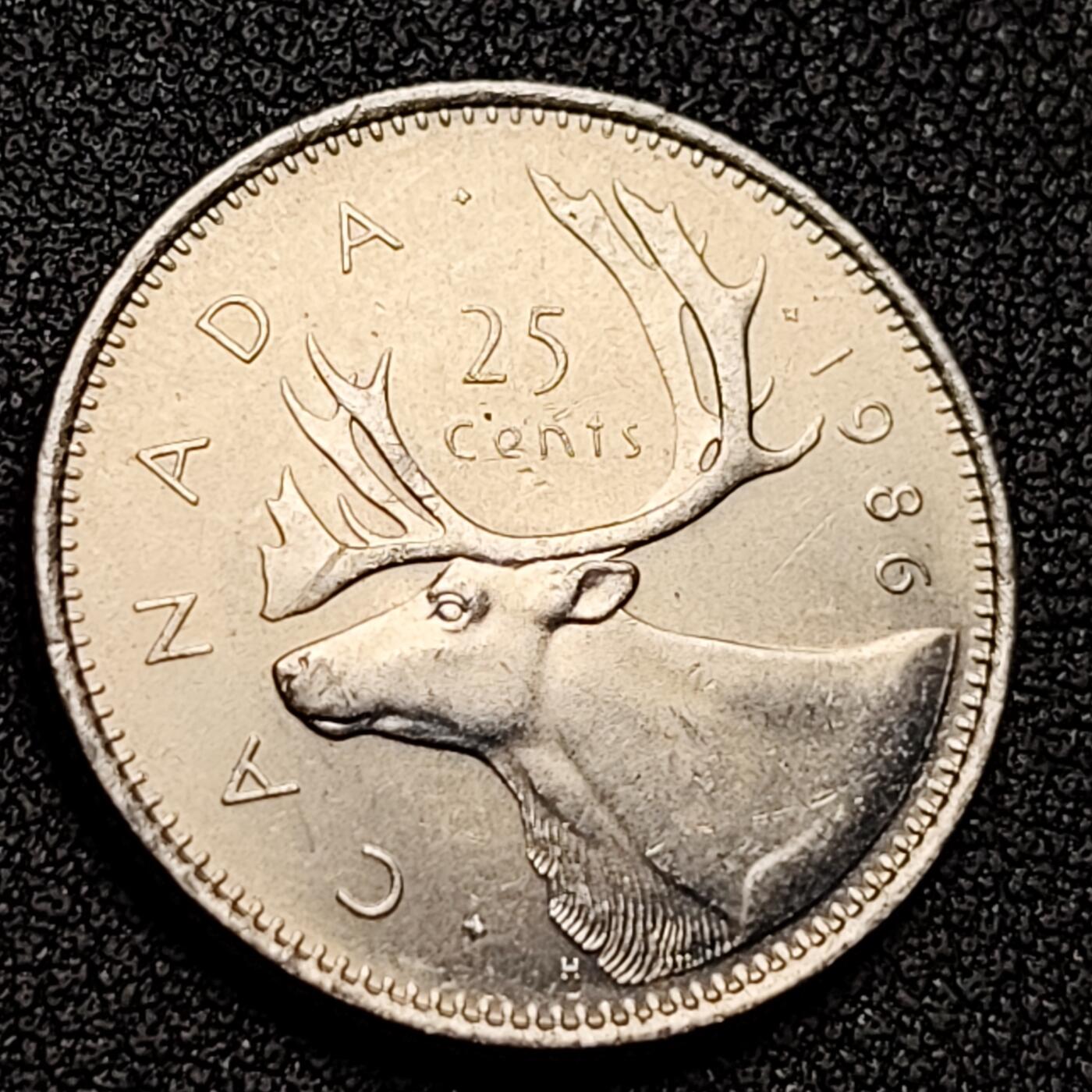 泉币菌-第131场-精品福利场 。