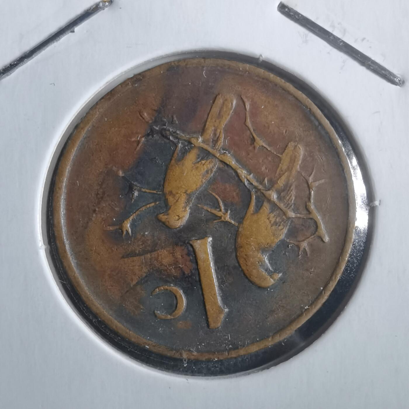 沼泽如烟--第907场 南非1966年一分