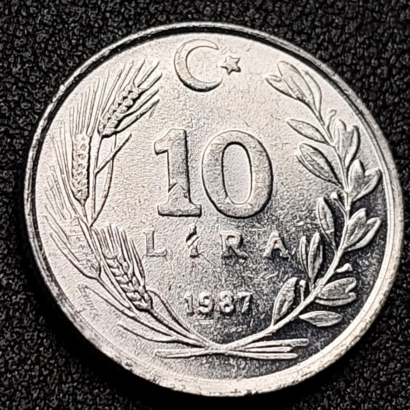 泉币菌-第131场-精品福利场 。