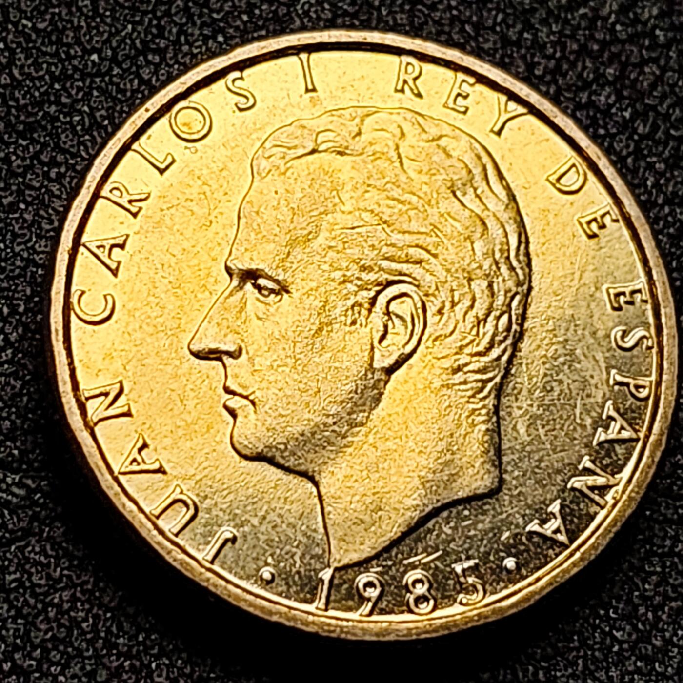 泉币菌-第133场-精品福利场 。