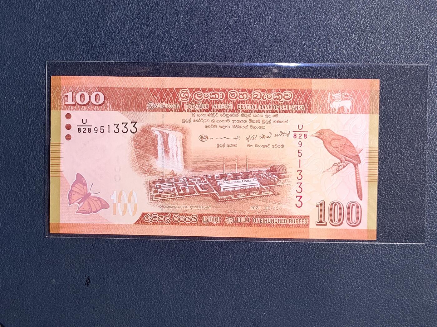 中外各国钞、纪念钞、券专场（第三十四场） 斯里兰卡100卢比纸币 2022年 鸟动物建筑物 亚洲钱币全新（号码寓意见尾图）