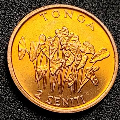 泉币菌-第132场-精品福利场 - 原铜光 1981年 汤加2分硬币 FAO粮农纪念币 植物芋头 21mm