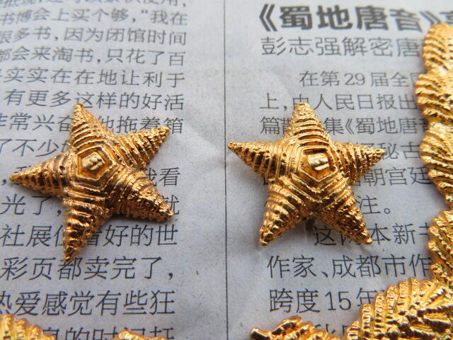 06--87将官礼服领章金属件一对