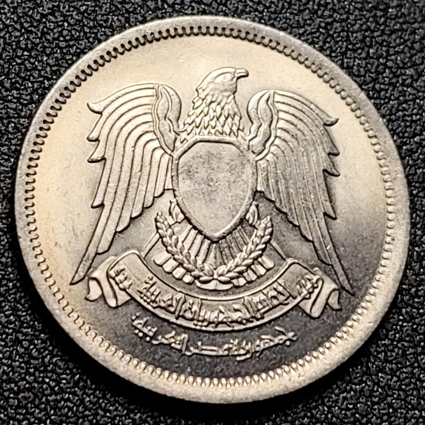 泉币菌-第133场-精品福利场 。