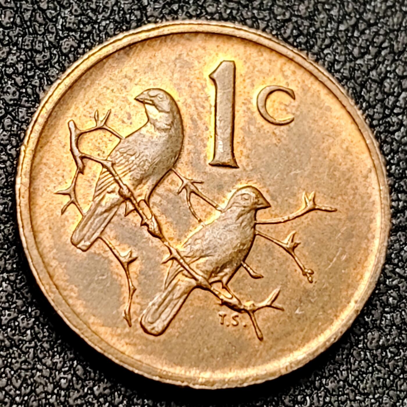 泉币菌-第133场-精品福利场 。