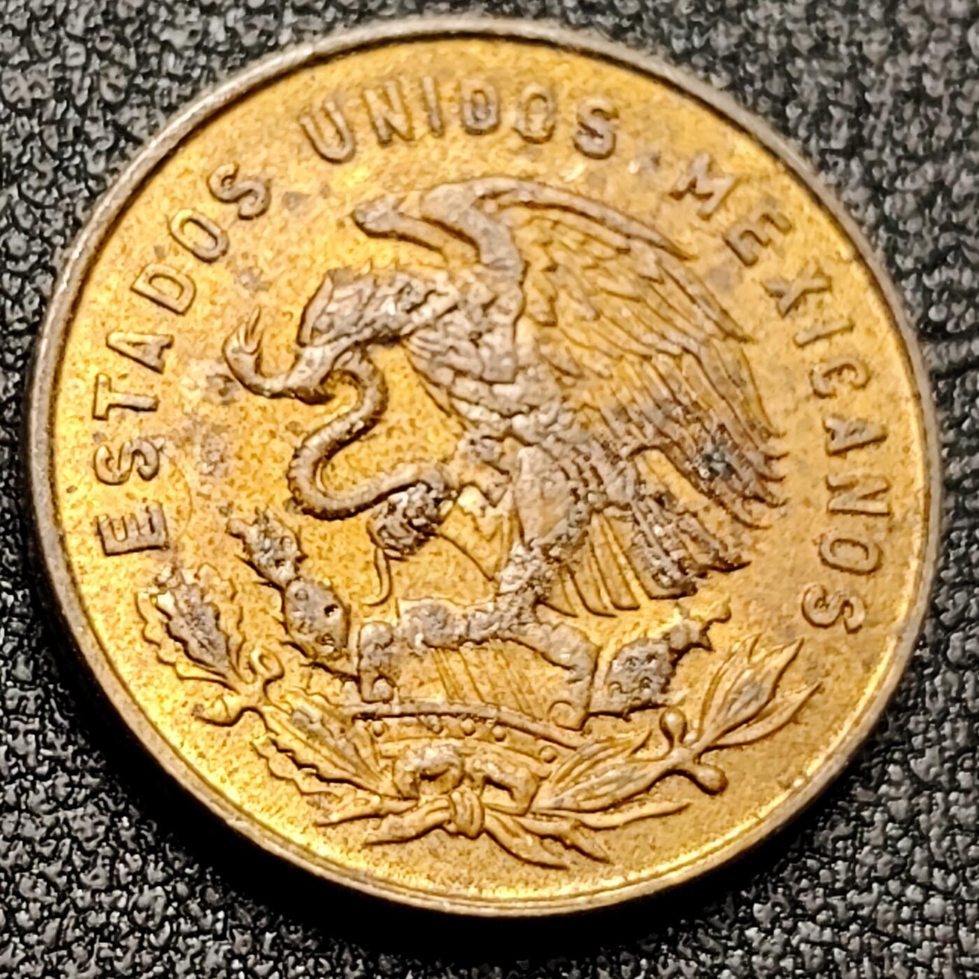 泉币菌-第133场-精品福利场 。