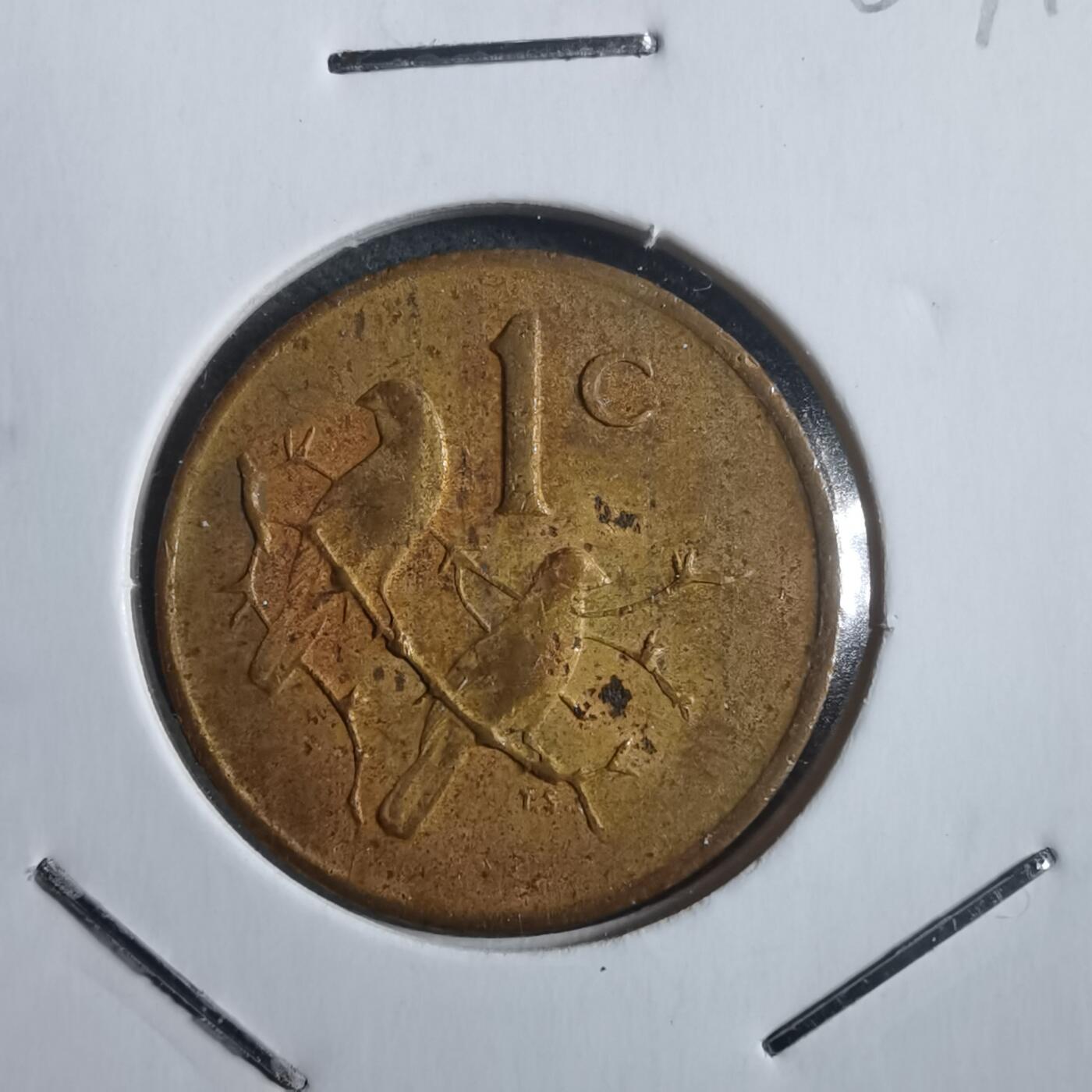 沼泽如烟--第907场