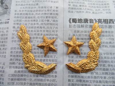 06--87将官礼服领章金属件一对 - 06--87将官礼服领章金属件一对