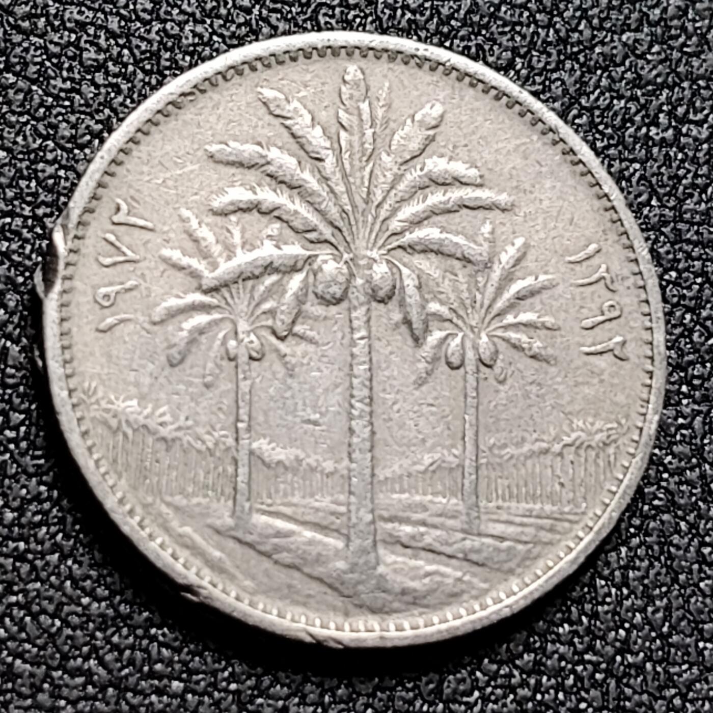 泉币菌-第132场-精品福利场 。