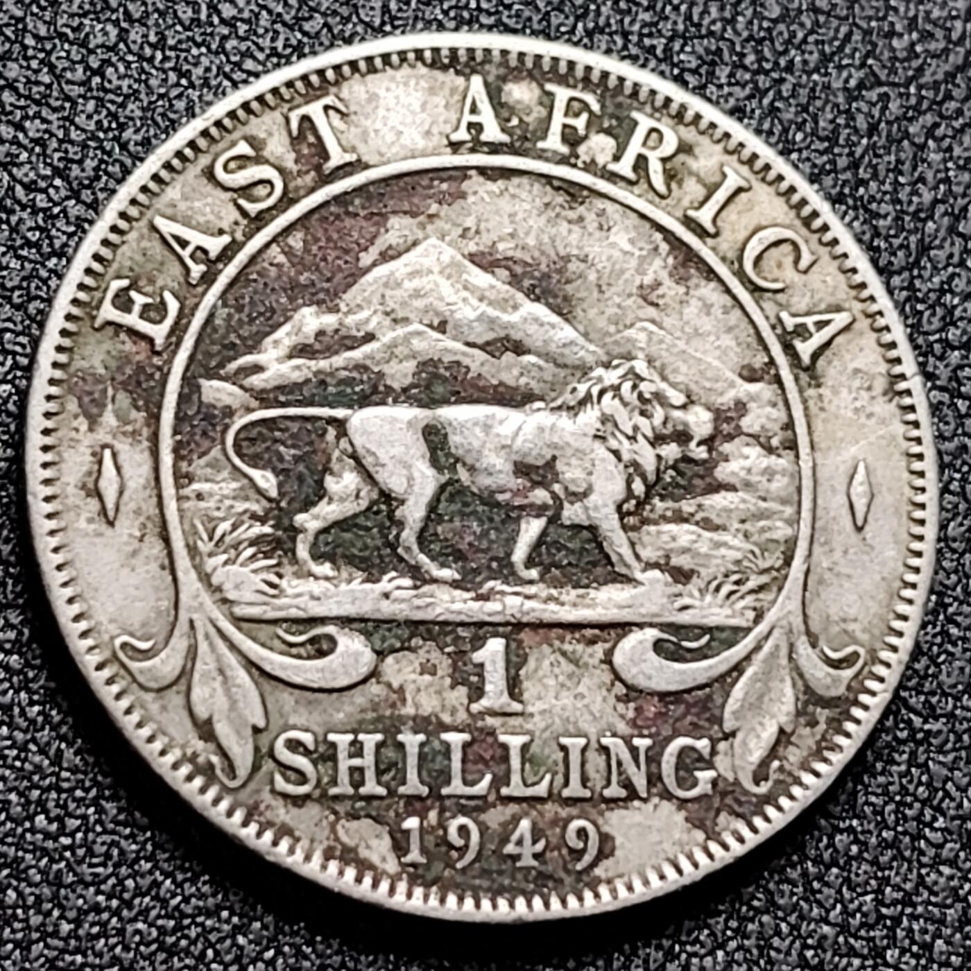 泉币菌-第132场-精品福利场 。