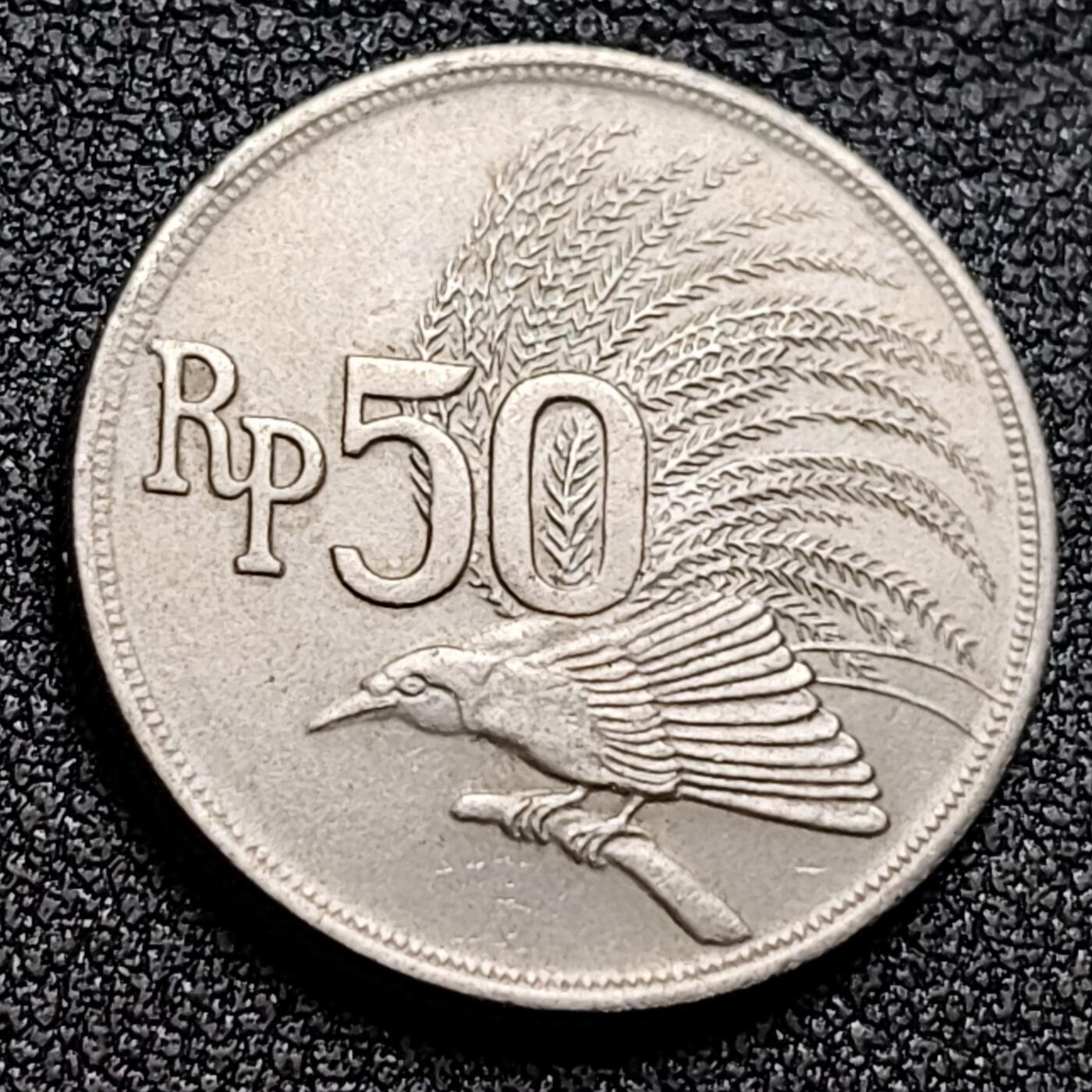 泉币菌-第132场-精品福利场 。