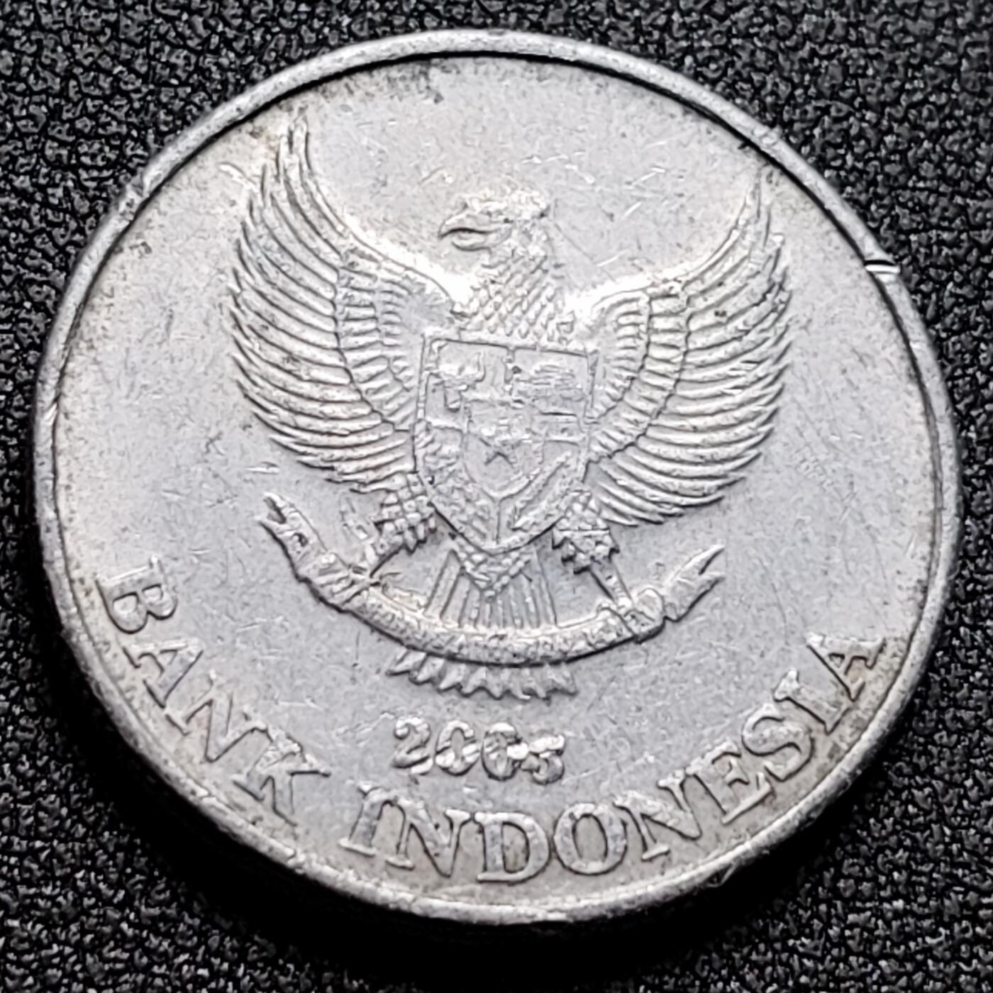 泉币菌-第132场-精品福利场 。