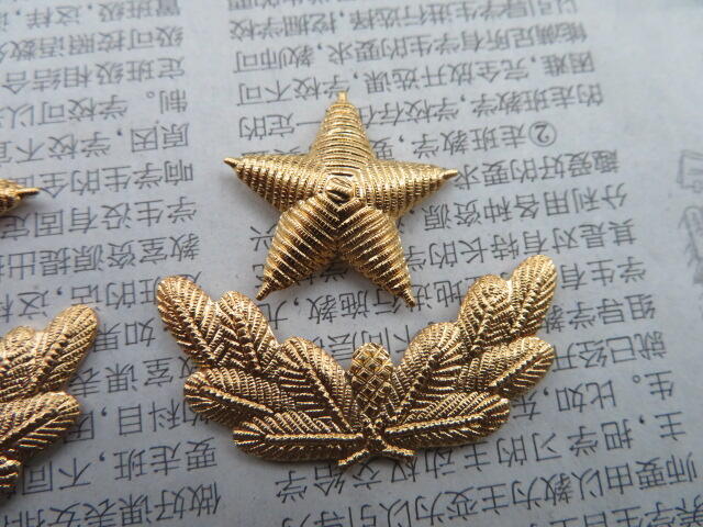 09--87早期武警将军肩章星星一对松枝一付（铜皮材质，松枝无背纹版）