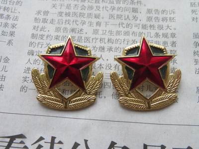 20--87武警文职肩徽一付 - 20--87武警文职肩徽一付