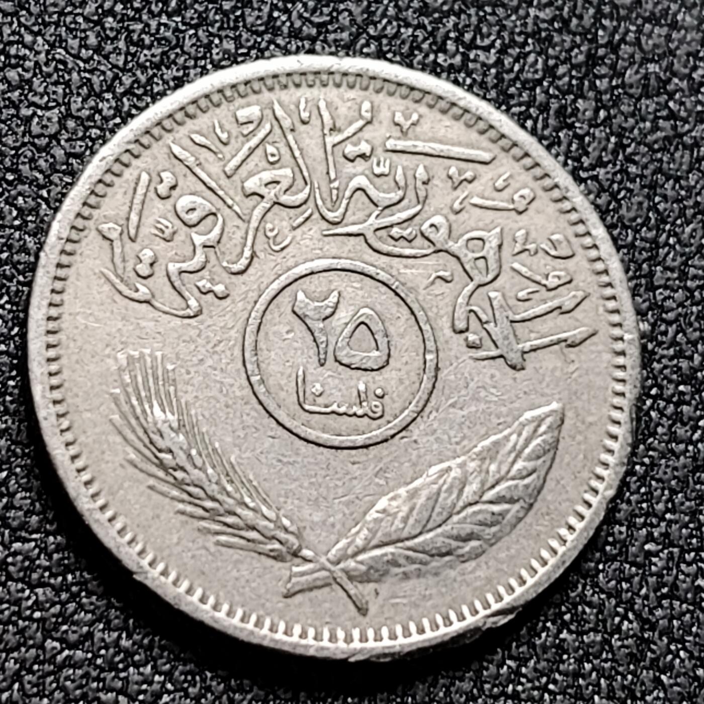 泉币菌-第132场-精品福利场 。