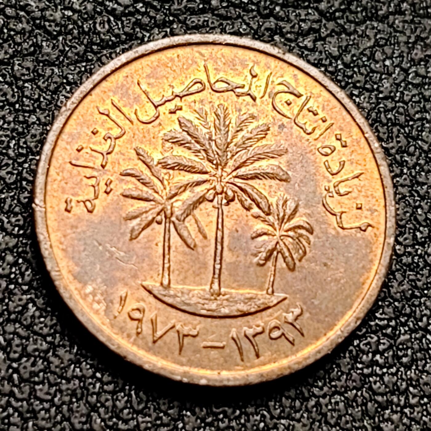 泉币菌-第132场-精品福利场 。