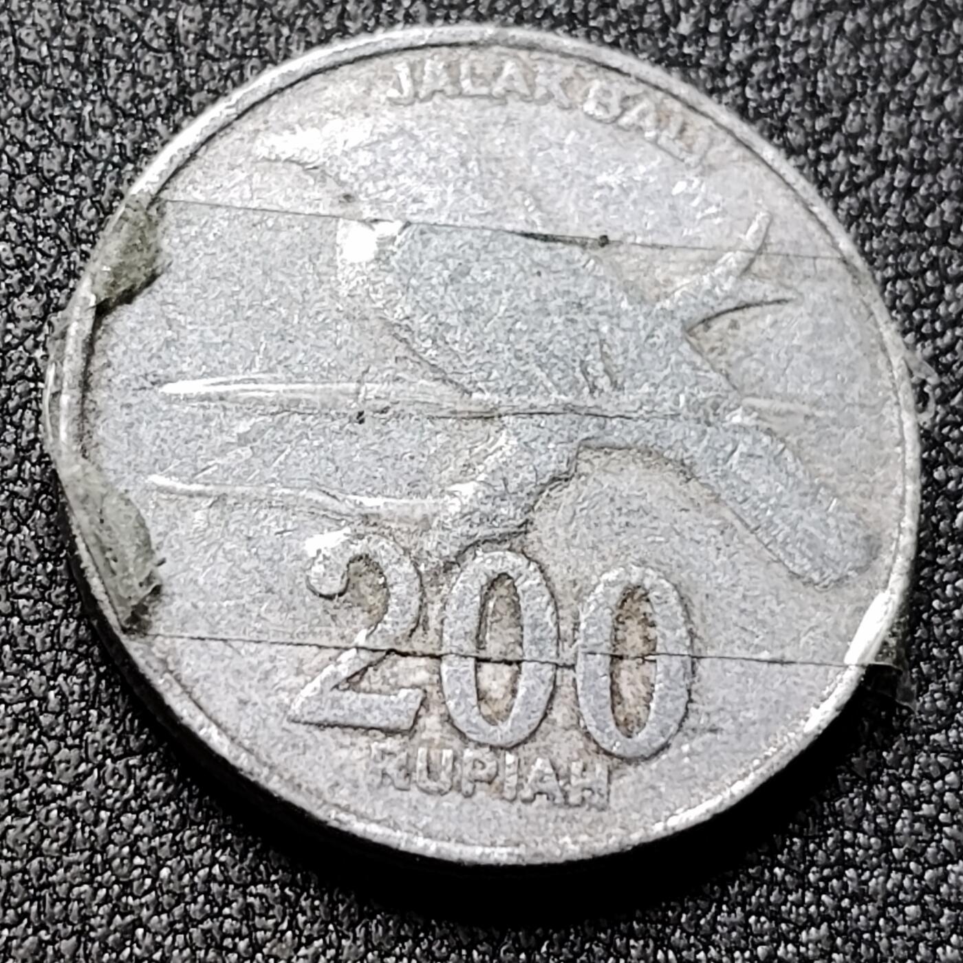 泉币菌-第130场-精品福利场 。