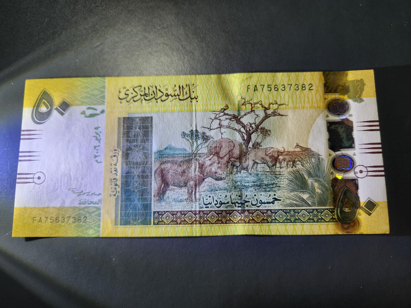 11月19号晚上8点 外国纸币自动截拍第61场 2006年版北苏丹50镑 全新 稀缺老版本 首发FA
