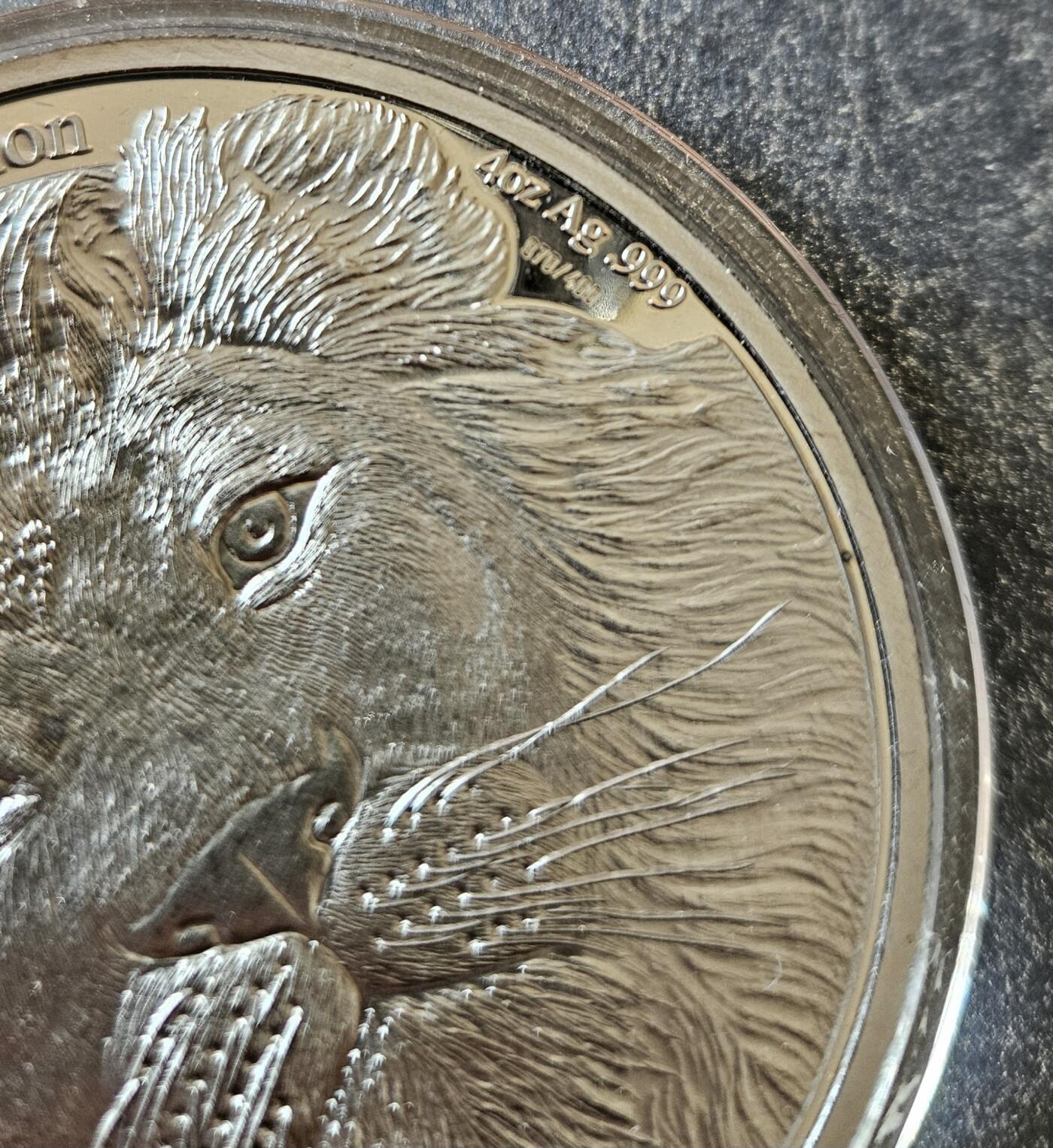 【币将精彩】世界钱币拍卖（2025-12-10） 刚果2013年非洲雄狮四盎司仿古银币  面值5000法郎，直径60.15毫米，重4盎司，仿古工艺，发行量400枚，币身镌刻编号，带包装。