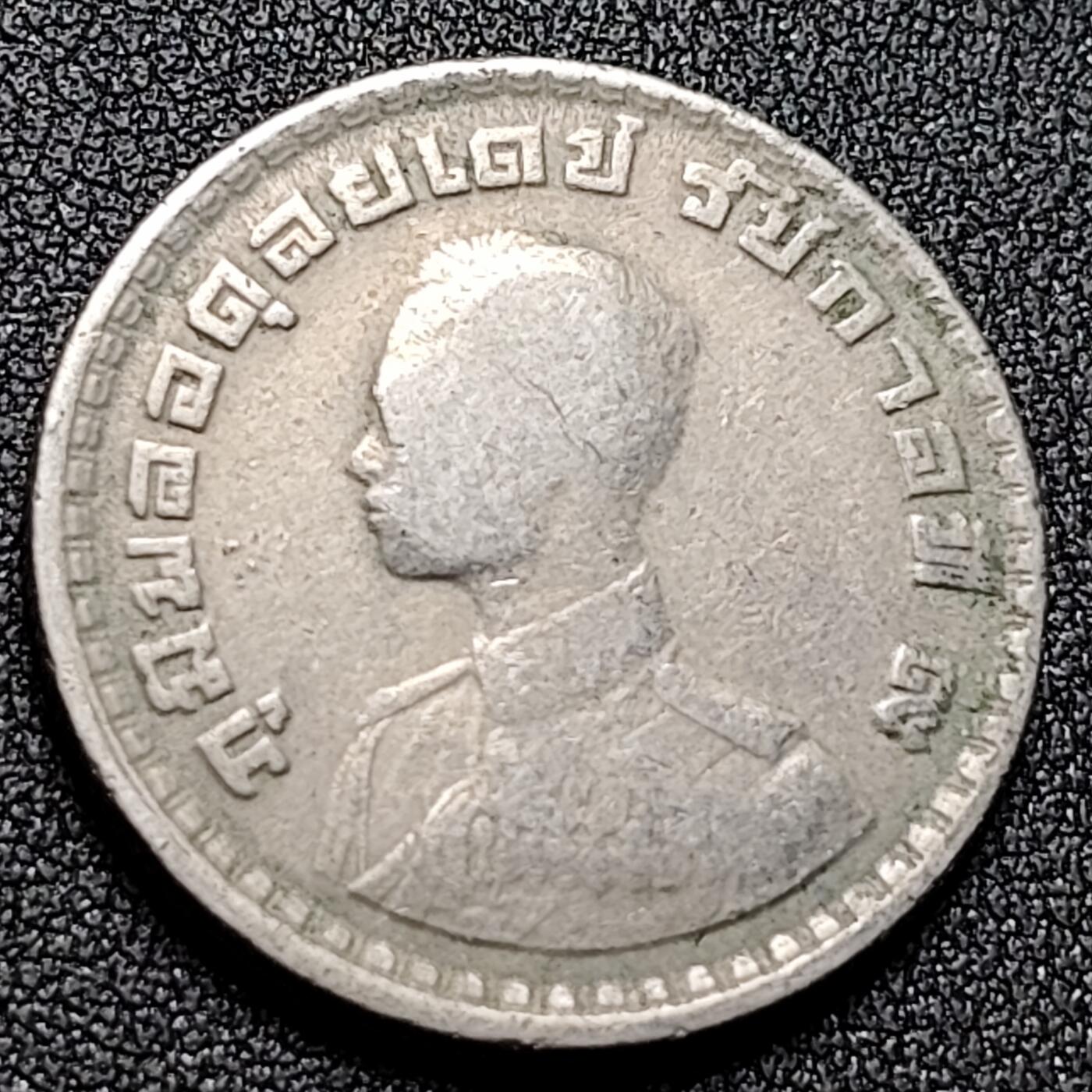 泉币菌-第132场-精品福利场 。