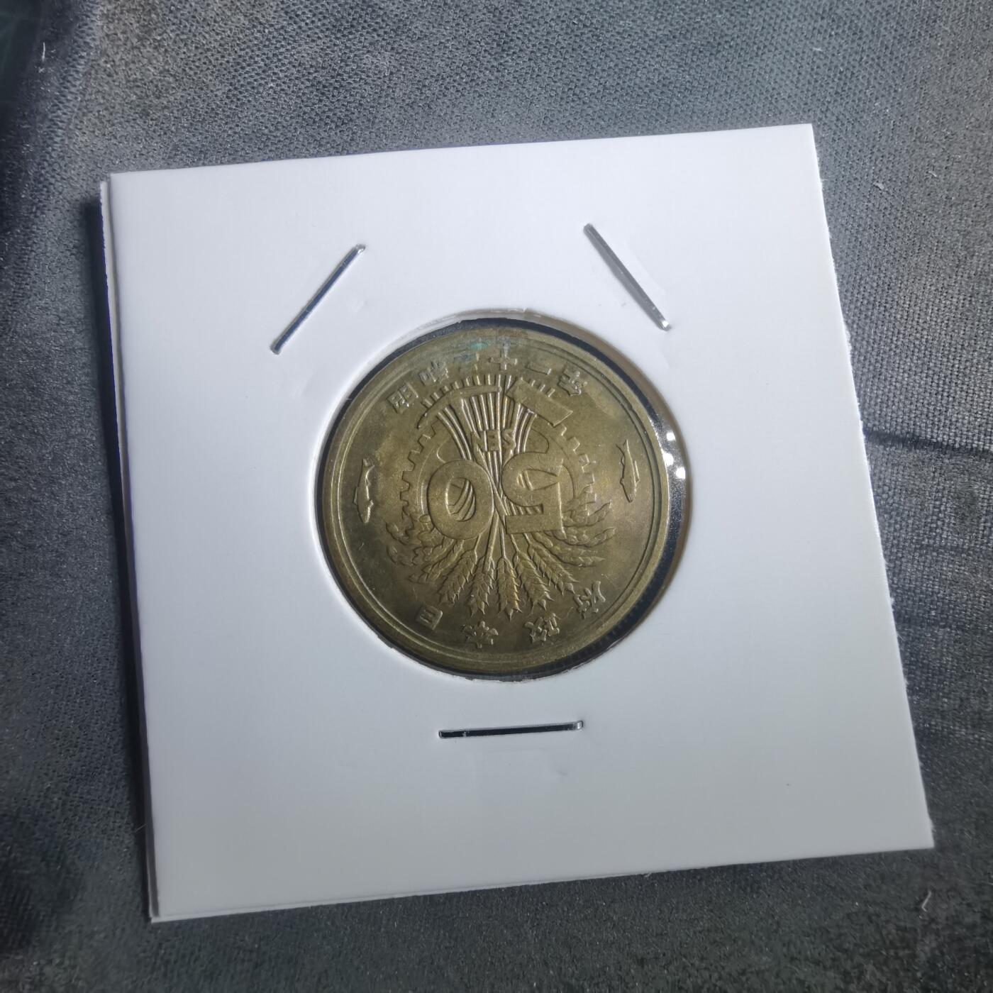 沼泽如烟--第907场