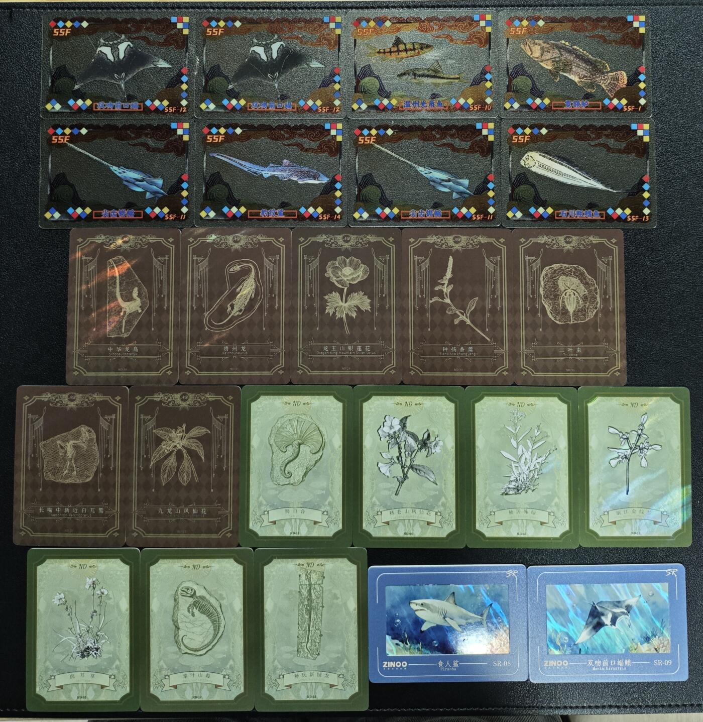 天玑星卡拍第140期《11.20周四截拍》持续收拍收评中 满赠卡需备注 自然天呈 二十四张