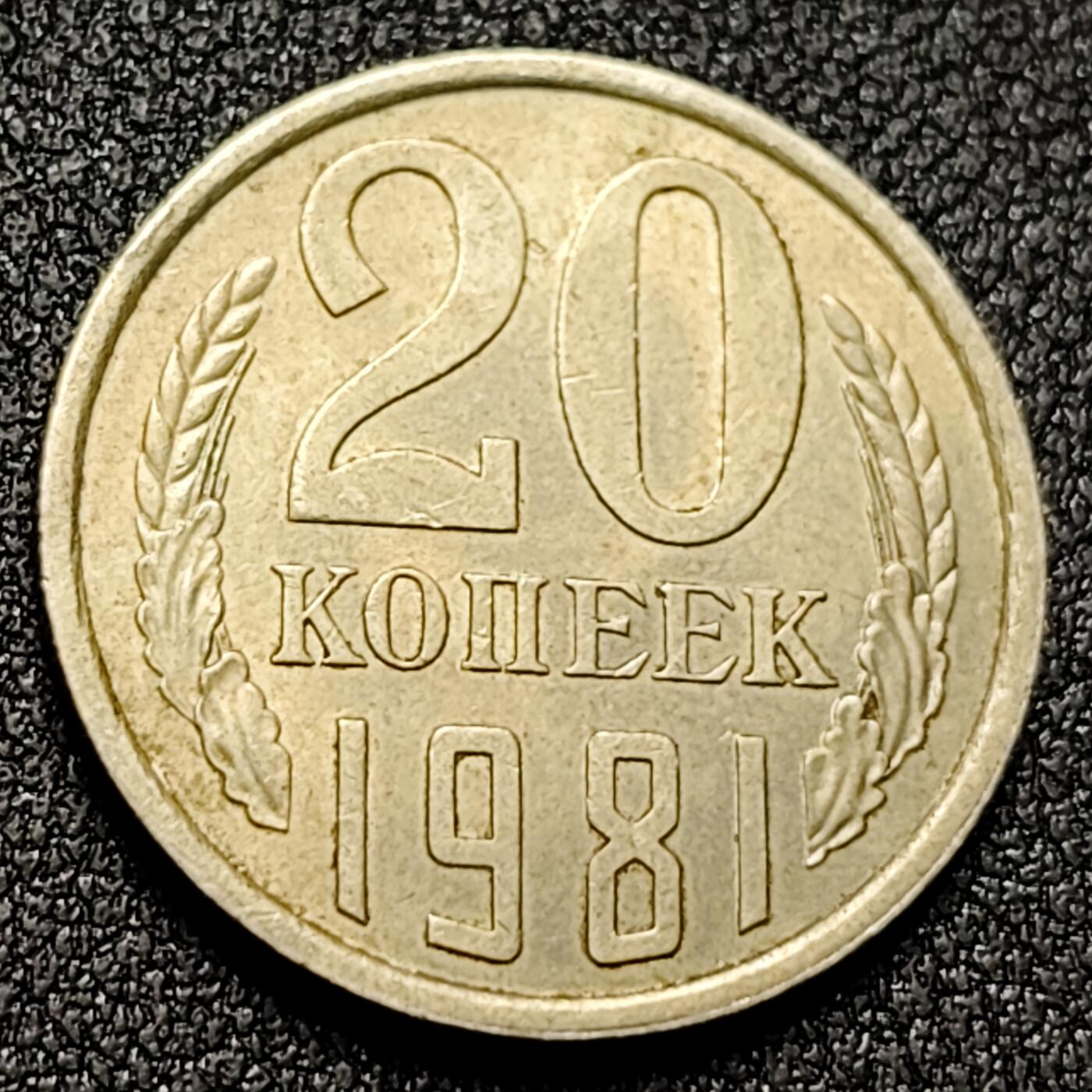 泉币菌-第132场-精品福利场 。