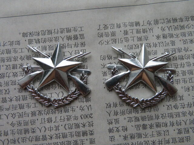 13--99中级士官花肩章符号一盒50付（原盒）