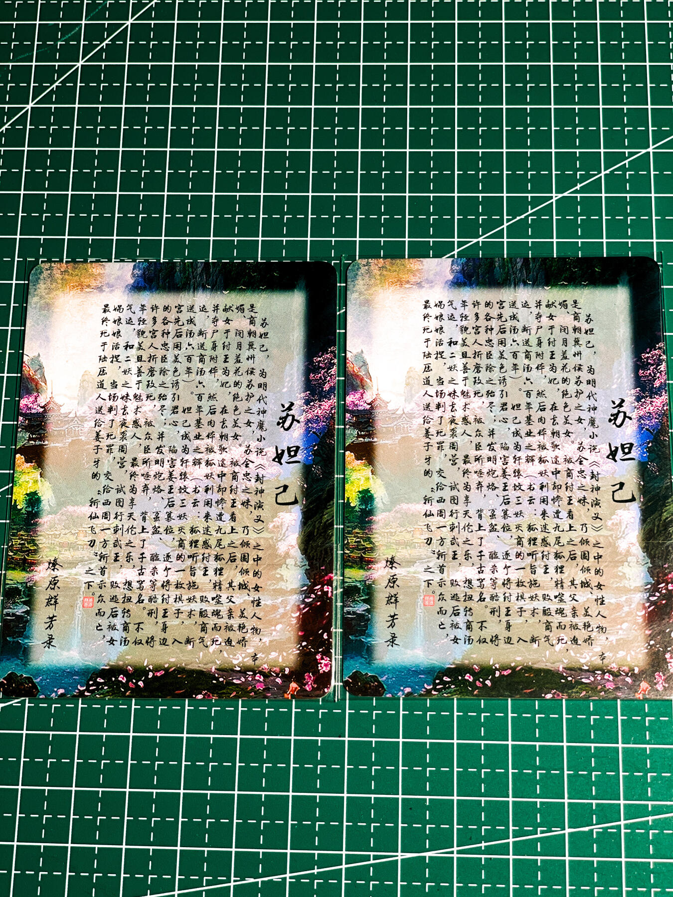 显眼宝36期 11月14日晚22:00截拍 佣金1起 可寄存～ 燎原卡牌 焱卡文化  早期率土之滨 妲己 纱布闪一张 彩闪一张 共2张 63*88