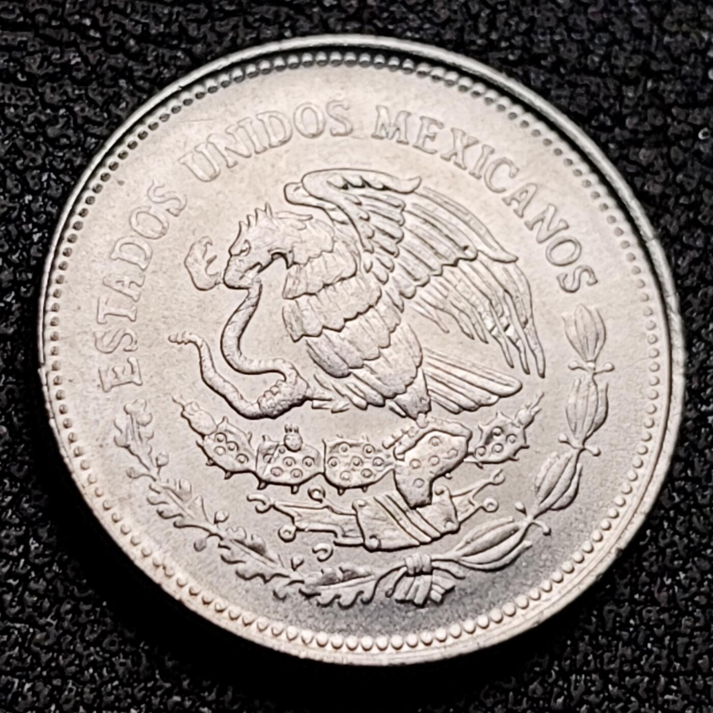 泉币菌-第132场-精品福利场 。