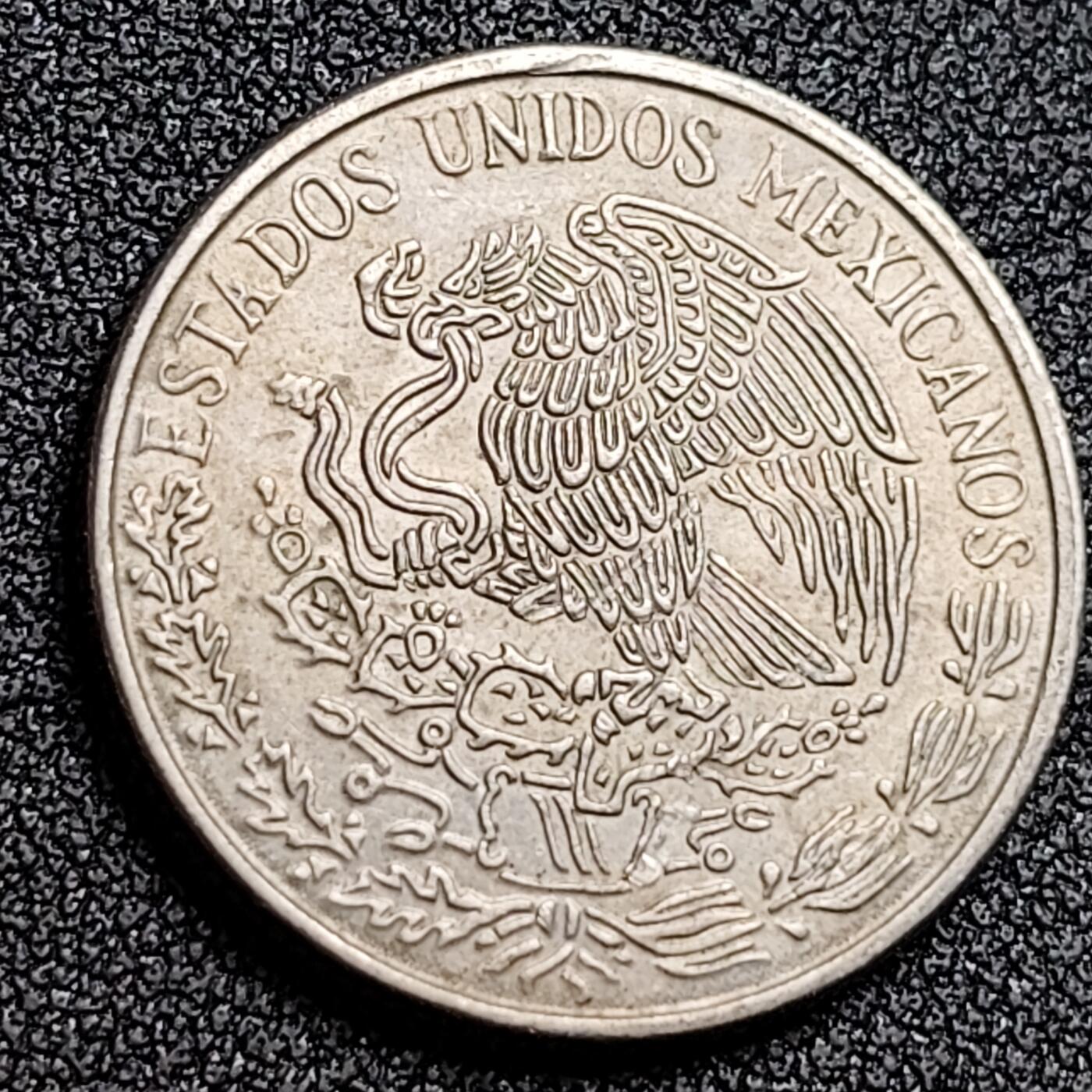 泉币菌-第132场-精品福利场 。