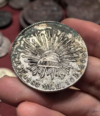 南宋泉阁俄币 外币 国币 专场第十九期 【送拍无额外佣金】 - 墨西哥 1883年 墨西哥鹰洋大银币 花边 老包浆通货好品 味道不错