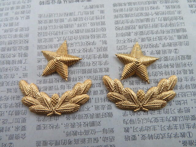 09--87早期武警将军肩章星星一对松枝一付（铜皮材质，松枝无背纹版）